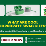 What are Cool Corporate Swag Gifts?